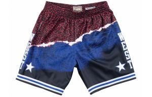 Баскетбольные шорты мужские разноцветные Mitchell Ness