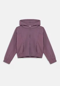 Толстовка с капюшоном и застежкой-молнией из трикотажа. Champion, Mauve