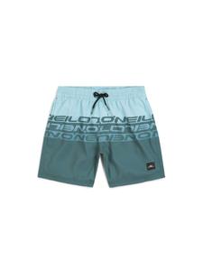 Шорты для серфинга O'NEILL, небесно-голубой