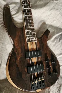 Overwater Progress Series IV Custom 4