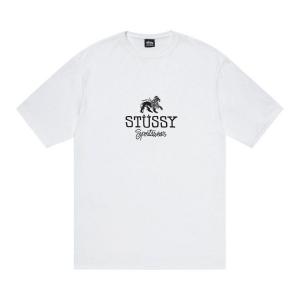 Футболка Stussy Sportswear Tee, White