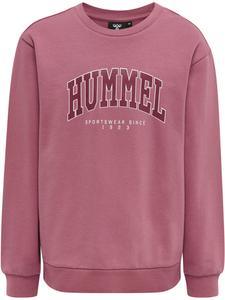 Толстовка Hmlfast Lifestyle Boys HUMMEL