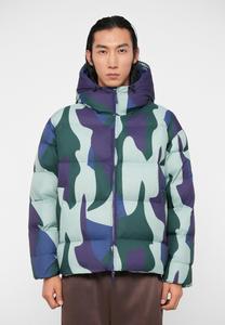 Куртка EA7 Emporio Armani MOUNTAIN ECO HOODED JACKET GRAPHIC, Fancy Green/Multi-Coloured