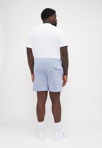 Шорты для плавания TRAVELER MID TRUNK Polo Ralph Lauren Big & Tall, синий