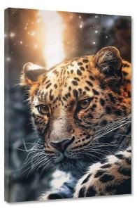 Картина на холсте Hustling Sharks Leopard Face, оранжевый