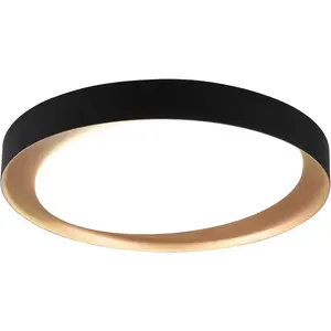 REALITY Светильник светодиодный потолочный Zeta светодиодный модуль с изменением цвета Reality Leuchten, черный