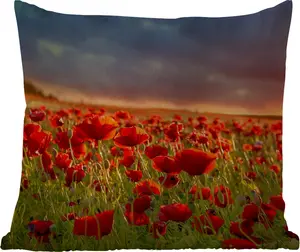 Подушка для улицы Закат над полем маков - 60 x 60 см - водонепроницаемая - подушка для отдыха - декоративная - подушка для сна MuchoWow
