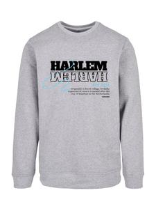 Свитер F4NT4STIC Sweatshirt Harlem, серый