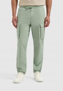 Брюки карго REGULAR FIT Pure Path, зеленый