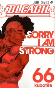 Bleach 66 (Jump Comics)