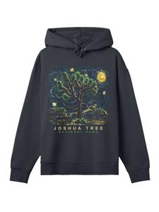 Толстовка F4NT4STIC US National Parks Joshua Tree Oil On Canvas Style, черный