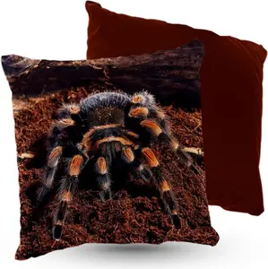 Подушка велюровая ПРЕМИУМ-класса, с рисунком паука Брахипельма, 40 х 40 см, декоративная, с наполнителем, для гостиной, спальни или в подарок. 5made