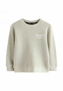 Толстовка с вафельным рисунком для младшей андеграундной команды Smallsaints, Stone