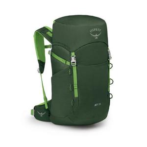 Детский походный рюкзак Osprey Jet 28 - Green Canopy