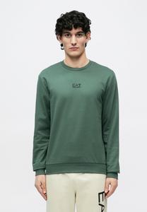 Толстовка EA7 Emporio Armani TRAIN CORE, Cilantro/Green