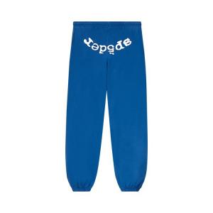Спортивные брюки Sp5der Legacy Sweatpant, синий