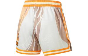 Баскетбольные шорты CBA Collection Men Rock White Grey Lining, серый