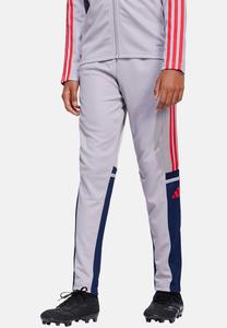 Спортивные штаны FUSSBALL TEAMSPORT SQUADRA TRAININGS Adidas Performance, серый