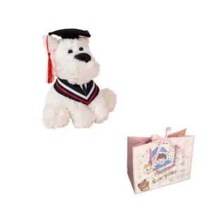 Выпускная шапочка доктора кукла капибара медведь настольное украшение кукла плюш и тканевая игрушка плюшевая игрушка высота 25см XIWANTONG