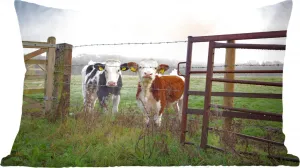 Декоративная подушка , подушка для дивана, декоративная подушка для гостиной, 50x30 см, корова - колючая проволока - трава - животные - украшение для гостиной - обивка с фотографией MuchoWow