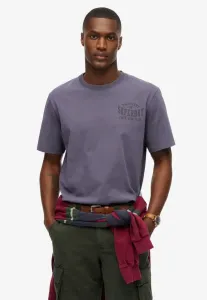 Спортивная базовая футболка с графическим принтом Superdry & Co, Greystone