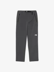 Брюки Barb (мужские)