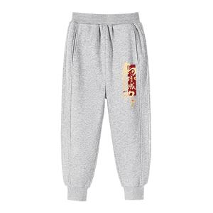 Детские спортивные штаны Moderate WARRIOR, [fleece-lined]серый/h красный base text k