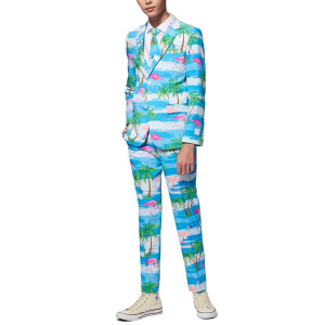 Костюм фламинго для мальчиков-подростков OppoSuits, мультиколор