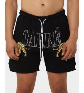 Мужские спортивные шорты Leo CARRE, Black