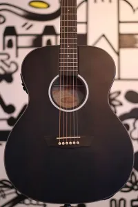 Washburn DFEFE Deep Forest Ebony FE - Deep Forest в полоску из черного дерева