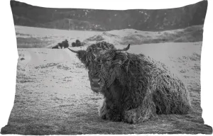 Подушка для улицы - Шотландский высокогорный скот - Горы - Животные - 60 x 40 см - Устойчива к погодным условиям - Подушка для отдыха - Декоративная подушка - Подушка для дома MuchoWow
