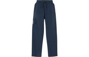 Повседневные брюки мужские Dark Sapphire Timberland, цвет Dark Sapphire