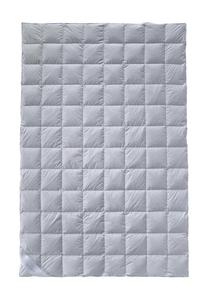 Летнее пуховое одеяло Billerbeck