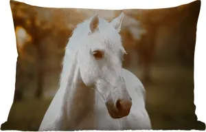 Подушка для улицы Лошадь, Солнце, Осень, Животные, Природа, 50 x 30 см, водонепроницаемая, подушка для отдыха, подушка для дивана, украшение для гостиной MuchoWow