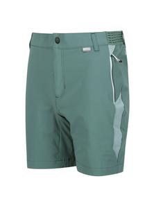 Функциональные шорты Regatta Mountain Shorts II Wanderhose, зеленый