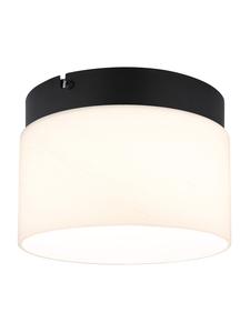 Globo lighting Потолочный светильник "TRENTON" черного цвета