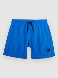 Пляжные шорты O'Neill Cali Hybrid 13'' Kids Boardshorts, princess blue