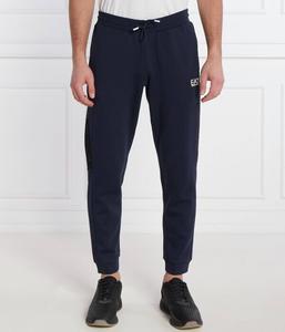 Спортивные штаны мужские Ea7 зауженные, синий