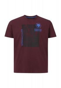 Футболка ЭРЛ АЛБАН Charles Colby, цвет Dunkelrot