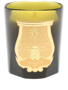 Ароматическая свеча joséphine, 10х9 см, Trudon, зеленый