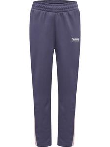 Обычные спортивные штаны Hummel, темно-фиолетовый