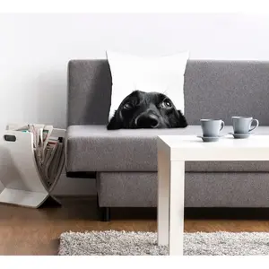 Декоративная подушка queence Labby с любопытным лабрадором Queence, Schwarz/weiß + bedruckt