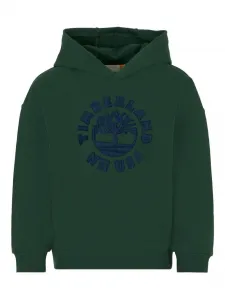 Худи с вышитым логотипом Timberland Kids, зеленый
