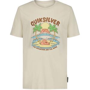 Футболка с принтом mountain & wave для мальчиков 8-20 Quiksilver