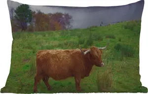 Подушка для улицы - шотландский горный скот - трава - вода - животные - 50 x 30 см - водонепроницаемая - подушка для отдыха - подушка для дивана - украшение для гостиной MuchoWow