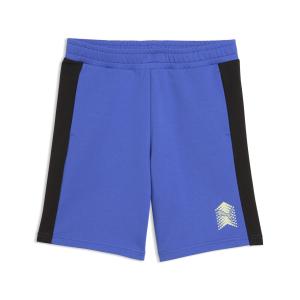 PUMA Шорты для тренировок Regular в цвете Royal Blue