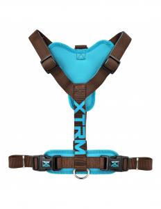 Nayeco Arnés X-trm Cronos Neon Flash Marrón 35-60см х 15мм Nayeco, цвет сине-коричневый