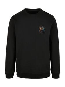 Свитер F4NT4STIC Sweatshirt Wizard Cat, черный