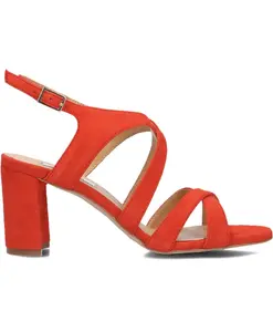 Элегантные сандалии Notre-V, красный