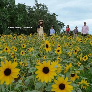 Виниловая пластинка Three Berry Icecream: Three Berry Icecream